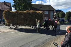 K1600_2015-09-27-14.37.46